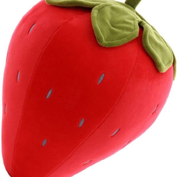 Strawberry Wonderland Plush